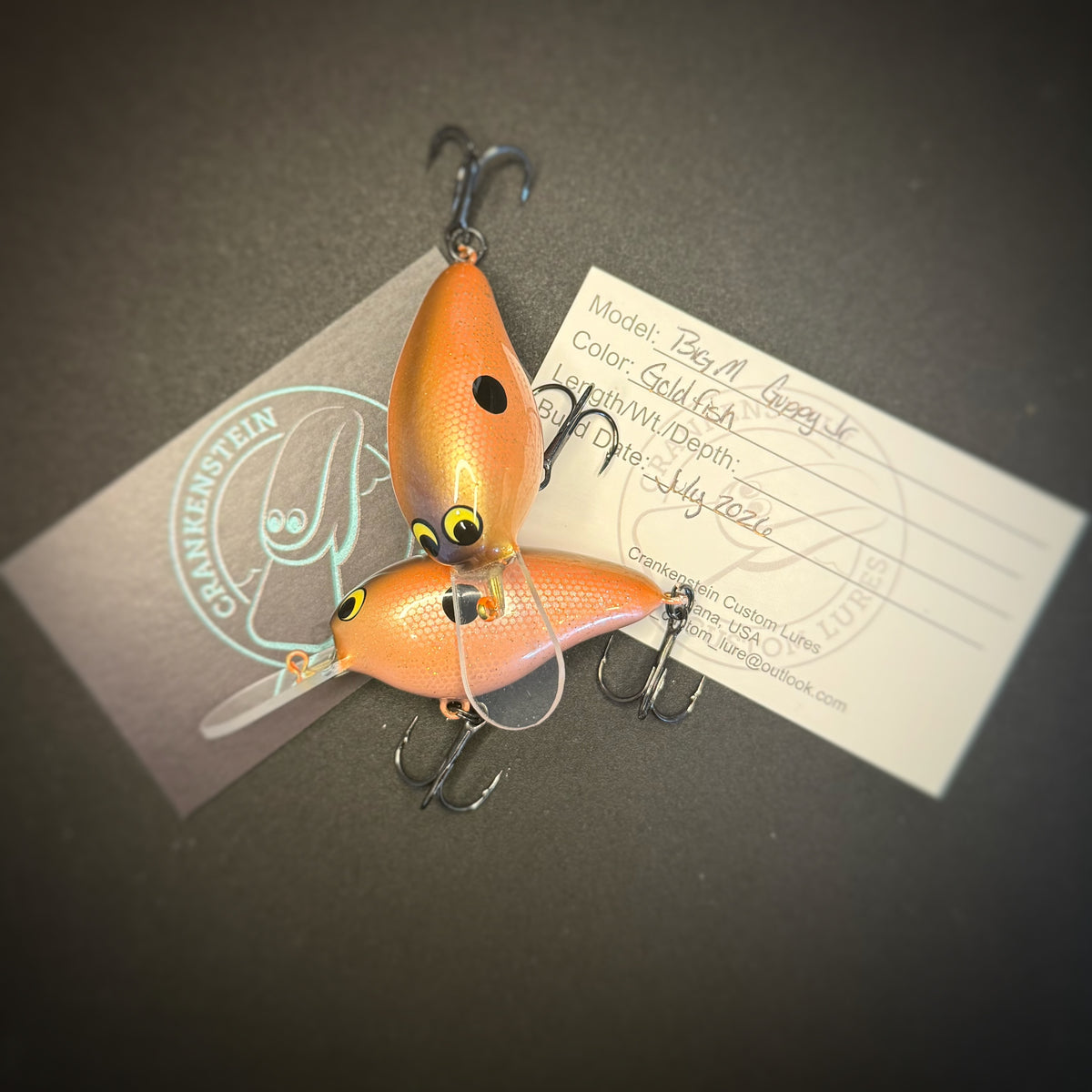 Big M Guppy Jr. - Goldfish
